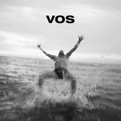Afbeelding van Various Artists Vos (CD)