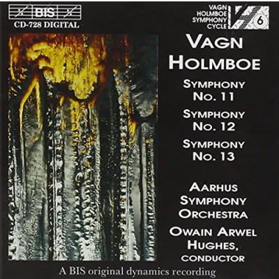 Afbeelding van Aarhus Symphony Orchestra Holmboe: No.11, Op. 144 (CD)