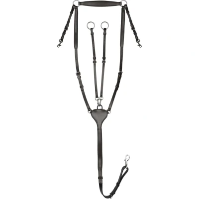 Afbeelding van Waldhausen Borsttuig X Line Zwart Cob