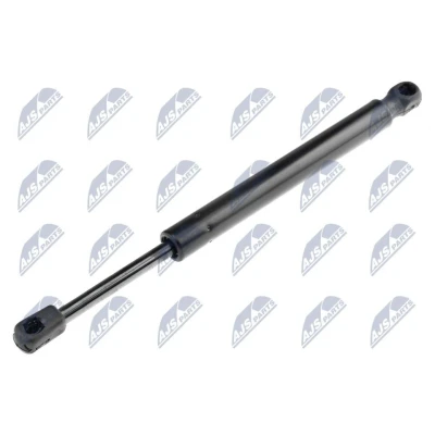 Afbeelding van NTY AE AU 021 Gasveer achterklep 700 298