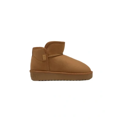 Afbeelding van D.Franklin Bottes Femme Style Australien Coupe Basse pour Mode Décontractée Taille (37) Modèle nordic low basic