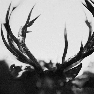 Afbeelding van Ihsahn (2 LP)