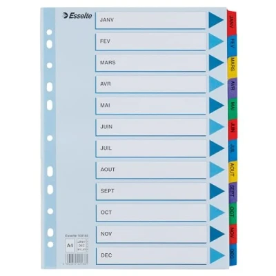 Afbeelding van Esselte 100165 Intercalaires Touches imprimées en Mylar A4 12