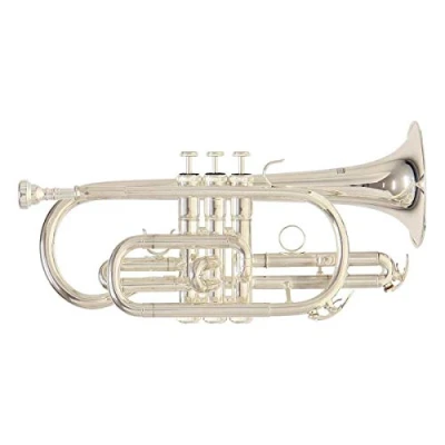 Image de Roy Benson Student Pro Series Cornet à pistons Sib CR 202S Argentée