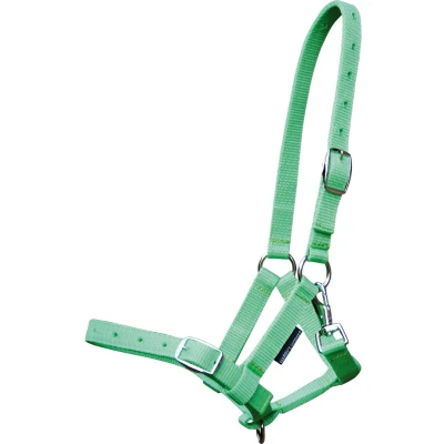 Afbeelding van Harry&#039;s Horse Veulenhalster Lime