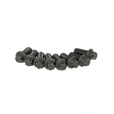 Afbeelding van Schroevenset, vliegwiel SACHS 1874 000 030