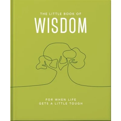 Afbeelding van The Little Book of Wisdom
