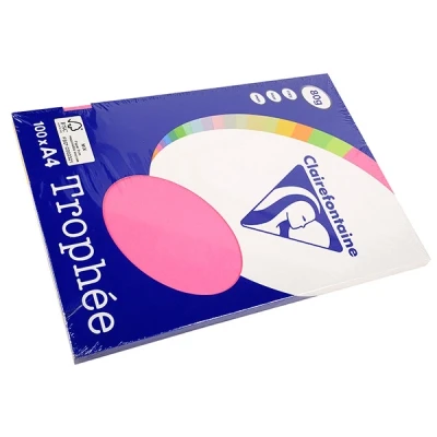 Image de TROPHEE RAM 100F A4 80G PASTELS
