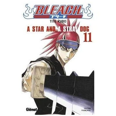Image de Bleach Tome 11