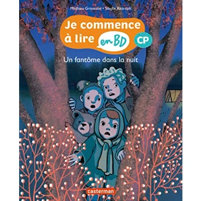 Afbeelding van Je commence a lire en bd cp,10:un fantome dans la nuit