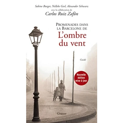 Afbeelding van ISBN Promenades Dans Le Barcelone De L&#039;Ombre Du Vent, Literatuur, Frans, Paperback