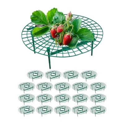 Afbeelding van Relaxdays steun aardbeien set van 20 voor aardbeiplant bescherming tegen slakken