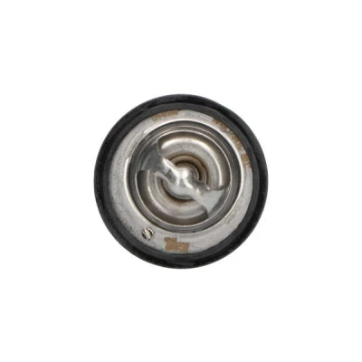 Afbeelding van Kavo Parts Thermostaat TH 6538