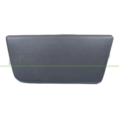 Afbeelding van PRASCO FT9301404 Zierleiste CITROËN: Relay II Van, FIAT: Ducato III Van