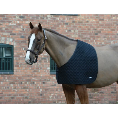Image de Weatherbeeta Shoulder Guard Deluxe Noir XFull