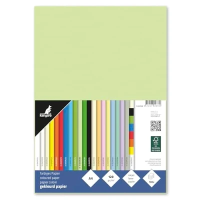 Afbeelding van Kangaro papier A4 120 grams FSC pak 100 vel lichtgroen K 0043F280