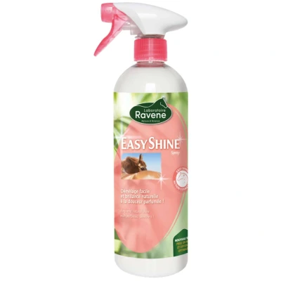 Afbeelding van Ravene Easy Shine 750ml