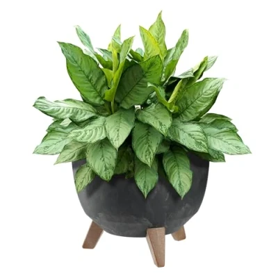 Afbeelding van KADAX Ronde bloempot van kunststof met drie houders, voor balkon, woonkamer, zwart, diameter 29 cm