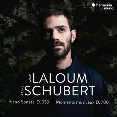 Image de Schubert : Piano Sonata D. 959 Moments musicaux 780