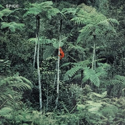 Afbeelding van Spice (CD)