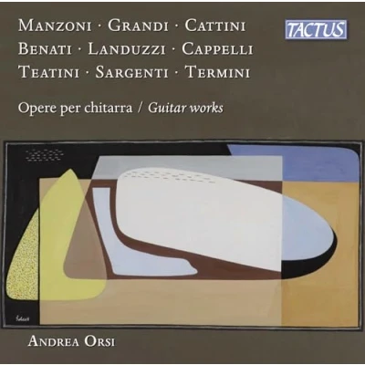 Afbeelding van Andrea Orsi Guitar Works (2 CD)