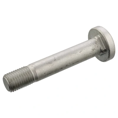 Afbeelding van FEBI BILSTEIN 177300 Veerbout