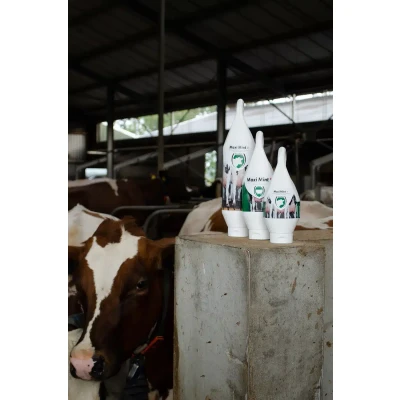 Afbeelding van Maxi Mint Plus uiermint 1 liter