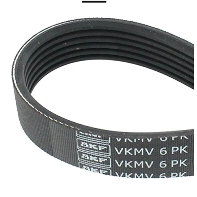 Afbeelding van Skf Poly V riem VKMV 6PK1572