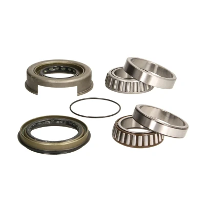Afbeelding van SNR R141.60 Wiellagerset 77 NISSAN: Juke, Pick Up, TERRANO 2