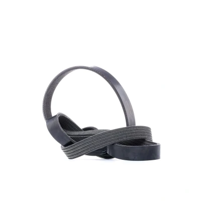 Afbeelding van Poly V riem DAYCO 5PK1095S