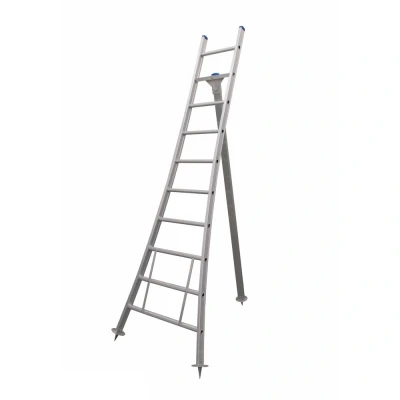 Afbeelding van Eurostairs Plukladder 1x10 Sporten