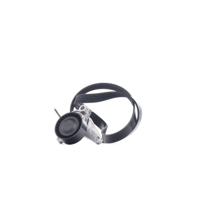 Afbeelding van Ina Poly V riemen kit 529 0167 10