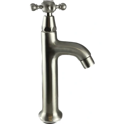 Afbeelding van PB klassieke fonteinkraan met sterknop koud water RVS 1208855552