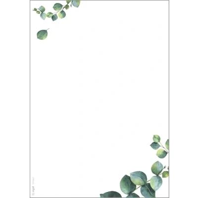 Afbeelding van Designpapier Sigel A4 90grs Eucalyptus 1, pak 100 vel
