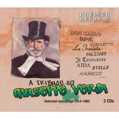Afbeelding van Various Artists A Tribute To Giuseppe Verdi (2 CD)