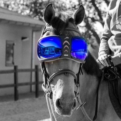 Image de eQuick Verres de Lunettes for eVysor Bleu One Size