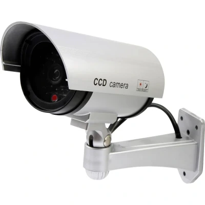 Afbeelding van Olymp 5925 Dummy camera Met knipperende LED