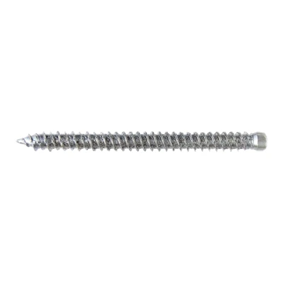 Afbeelding van SMART Kozijnschroef CK T30 7,5x102 Zn (100st)
