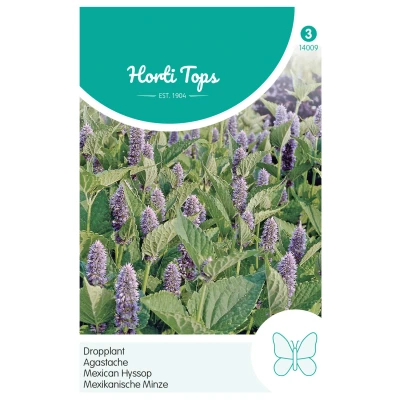 Afbeelding van Agastache Mexicana Blauw Dropplant Hortitops