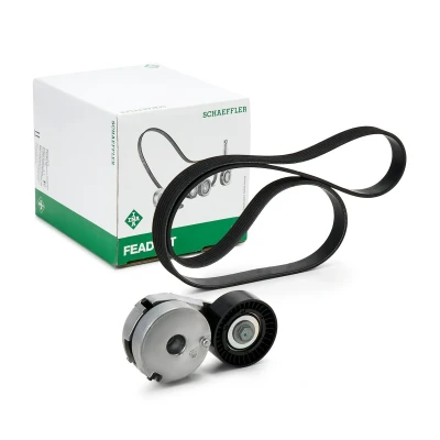 Afbeelding van Poly V riem set INA 529 0512 10