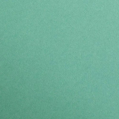 Afbeelding van Clairefontaine 97451C Premium fotokarton DIN A4, 21 x 29,7 cm, 300 g, dennengroen