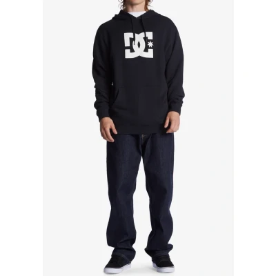 Afbeelding van DC Shoes STAR Hoodie, Heren, Maat: Small, Black