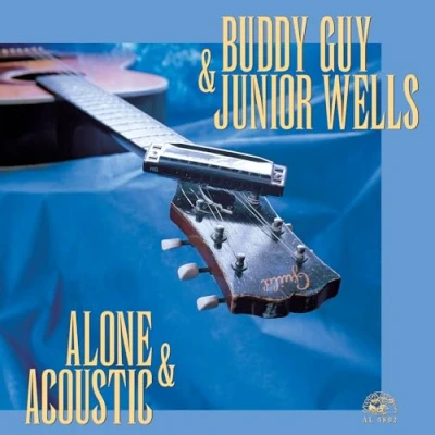 Afbeelding van Alone And Acoustic
