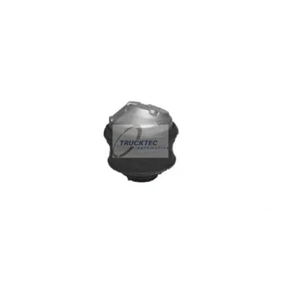 Afbeelding van TRUCKTEC AUTOMOTIVE 02.22.029 Aslichaam / motorsteunlager Rechts voor MERCEDES BENZ: C Class Saloon, CLK Coupe