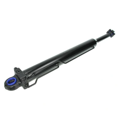 Afbeelding van Febi Bilstein Cabine kantelcilinder 33952