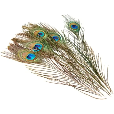 Afbeelding van Efco 5 stuks pauwenveren, 12 x 2 cm, groen, 1003410