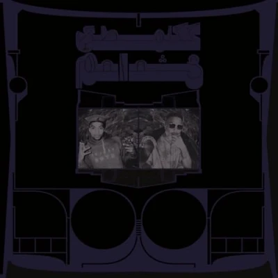 Afbeelding van Shabazz Palaces Exotic Birds Of Prey (CD)