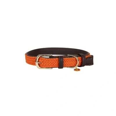 Image de Kentucky Collier Plaited Nylon Orange