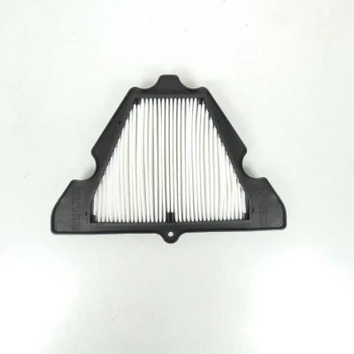 Afbeelding van Hiflofiltro Kawasaki Hfa2920 Luchtfilter Wit