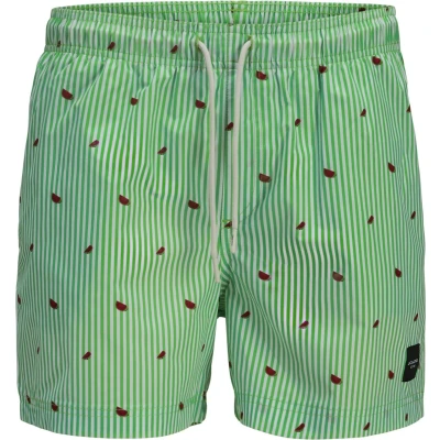 Afbeelding van Jack &amp; Jones Jpstmaui MINI Stripe Zwemshorts, Heren, Maat: XL, Summer green